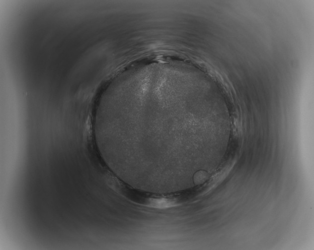 X0000102480561200808151452