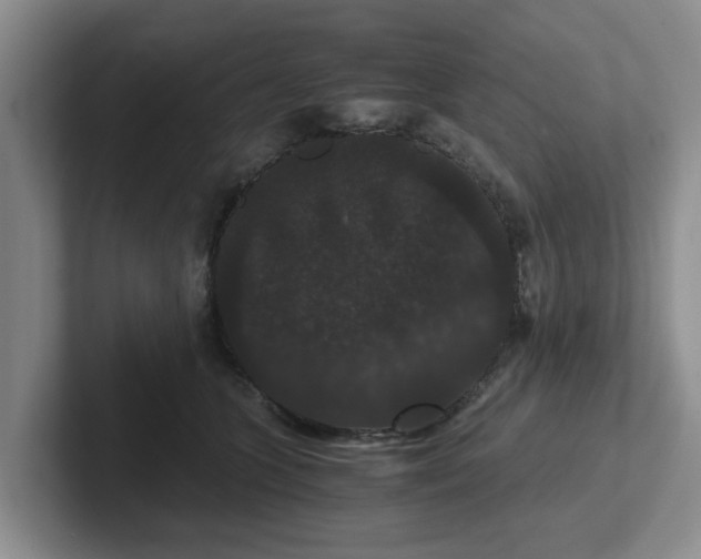 X0000102480563200808151452