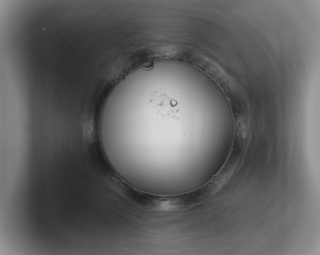 X0000102480564200808151452