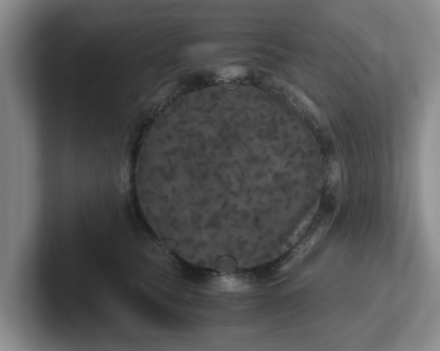 X0000102480565200808151452