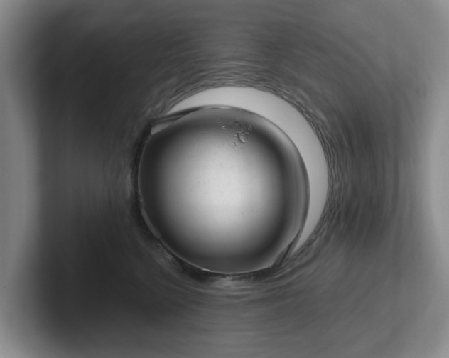 X0000102480568200808151452