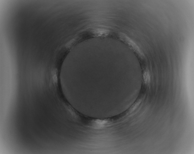 X0000102480570200808151452