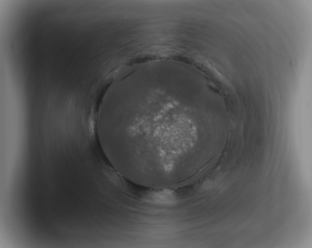 X0000102480576200808151452