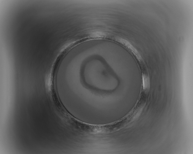 X0000102480579200808151452