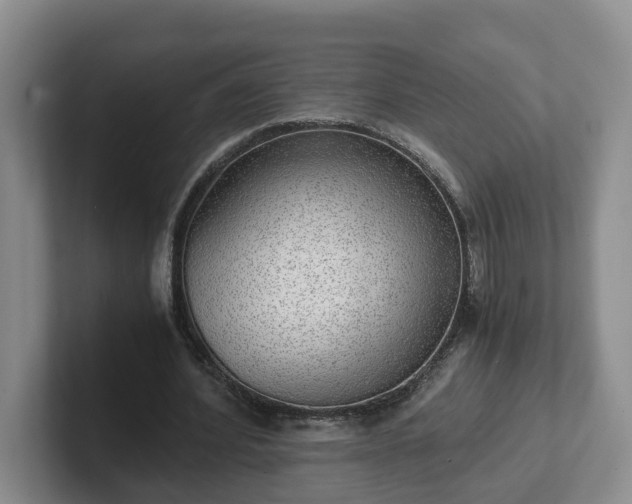 X0000102480580200808151452