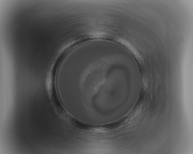 X0000102480583200808151452