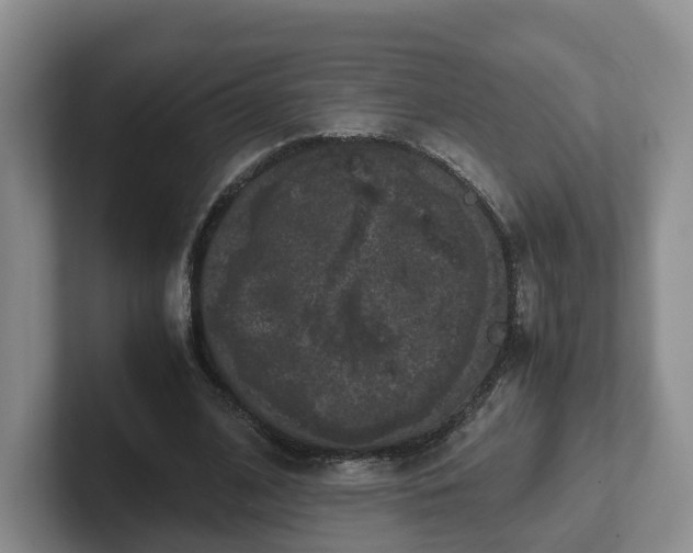 X0000102480584200808151452