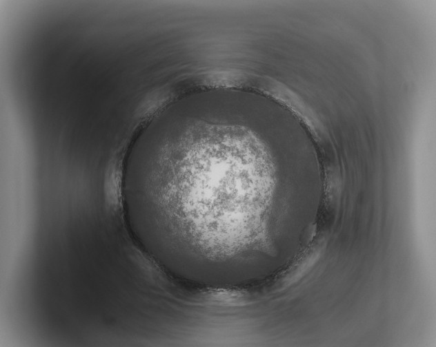 X0000102480585200808151452