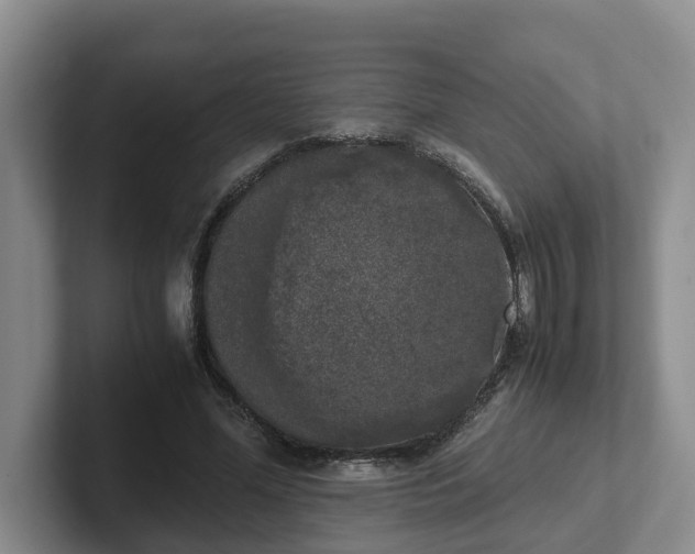 X0000102480588200808151452