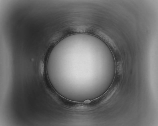 X0000102480589200808151452