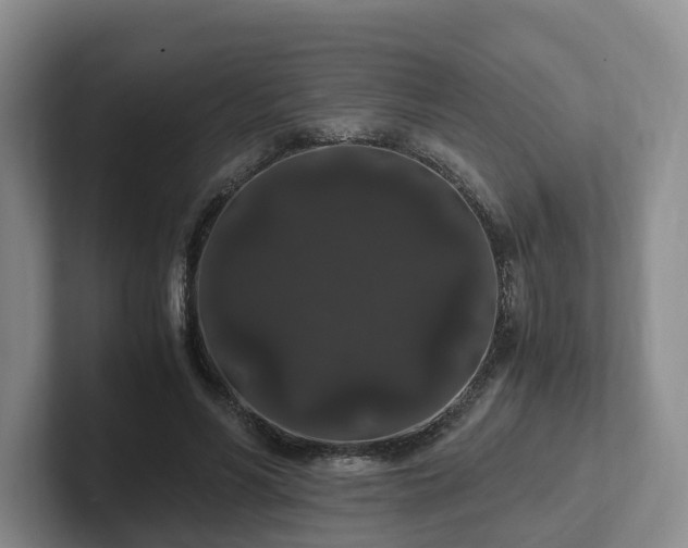 X0000102480590200808151452