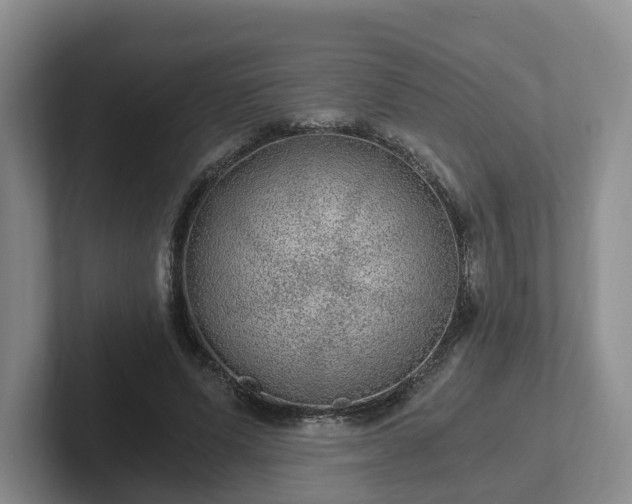 X0000102480591200808151452