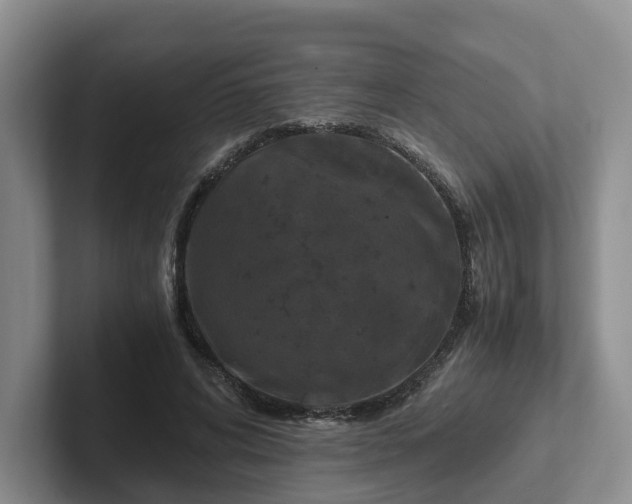 X0000102480592200808151452