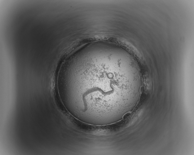 X0000102480593200808151452