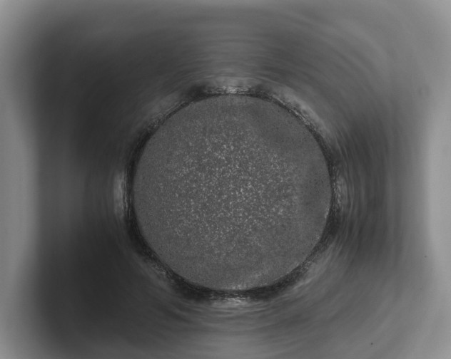 X0000102480594200808151451