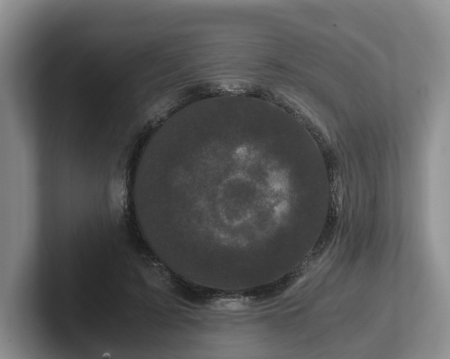 X0000102480595200808151451