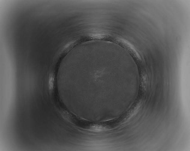 X0000102480596200808151451