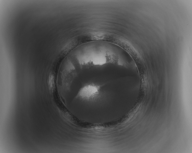 X0000102480598200808151451