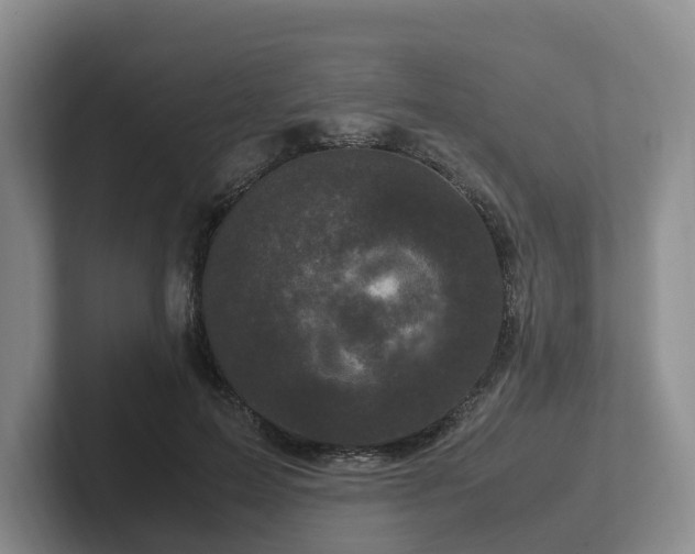 X0000102480599200808151451