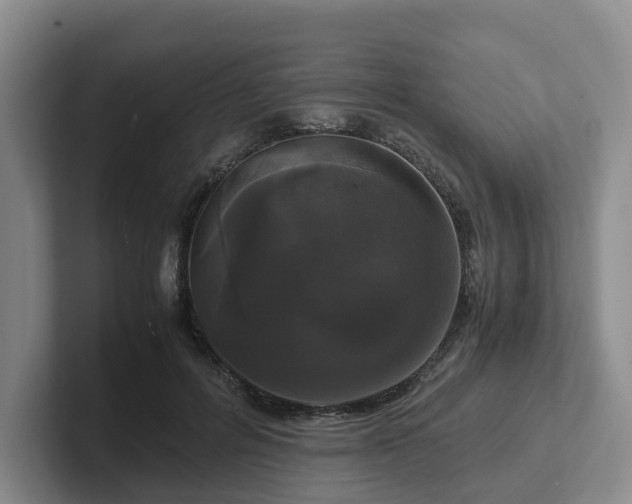 X0000102480600200808151451