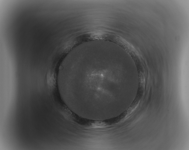 X0000102480603200808151451