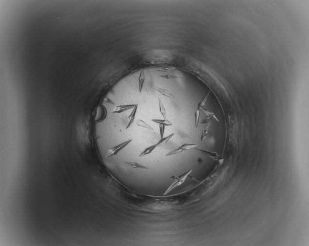 X0000102480604200808151451