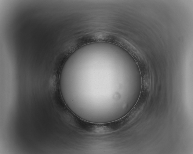 X0000102480605200808151451