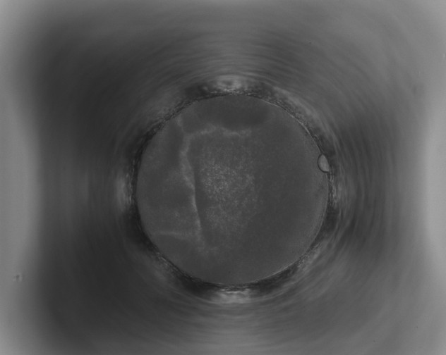 X0000102480606200808151451