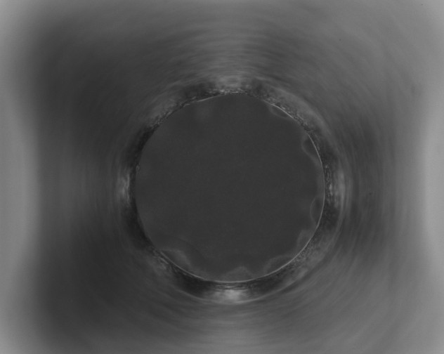 X0000102480610200808151451