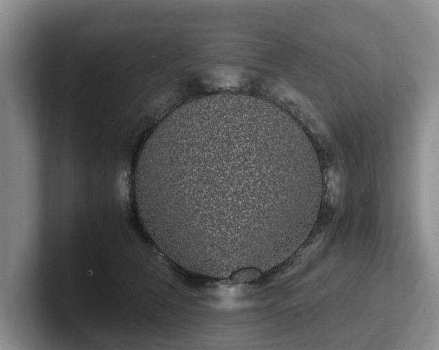 X0000102480612200808151451