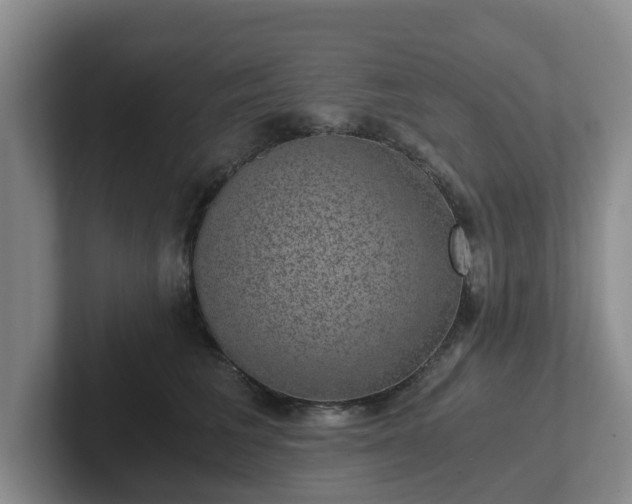 X0000102480613200808151451