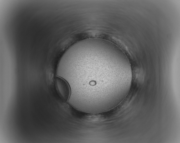 X0000102480615200808151451