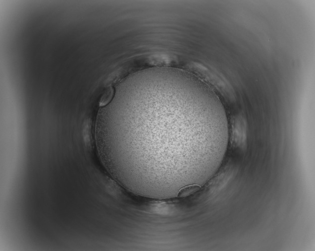 X0000102480616200808151451