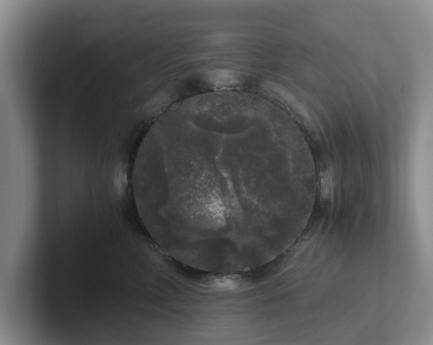 X0000102480618200808151451