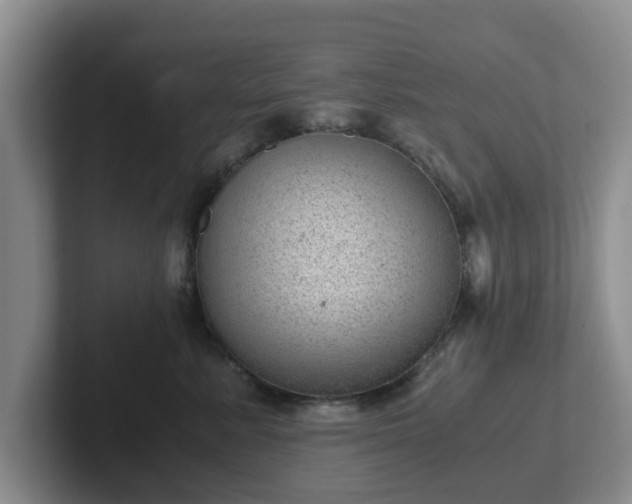 X0000102480619200808151451