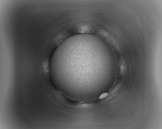 X0000102480620200808151451