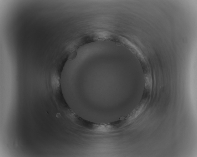 X0000102480621200808151451