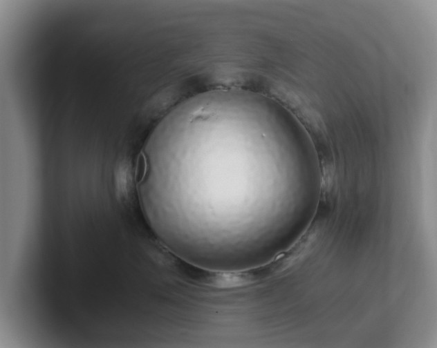 X0000102480623200808151451