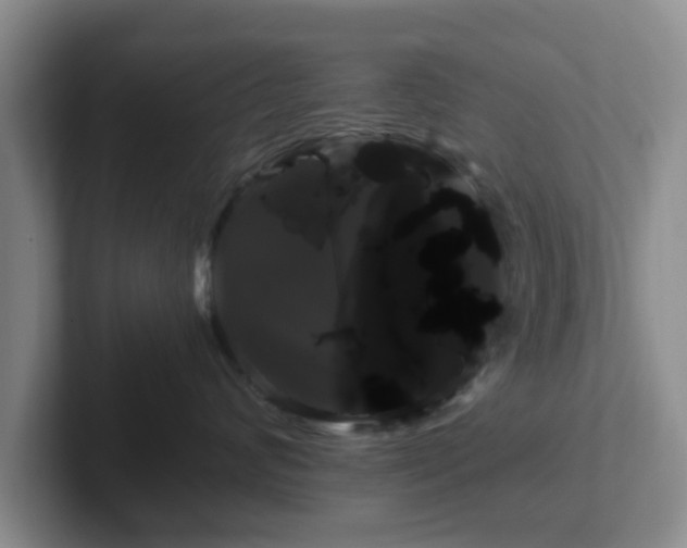 X0000102480624200808151451