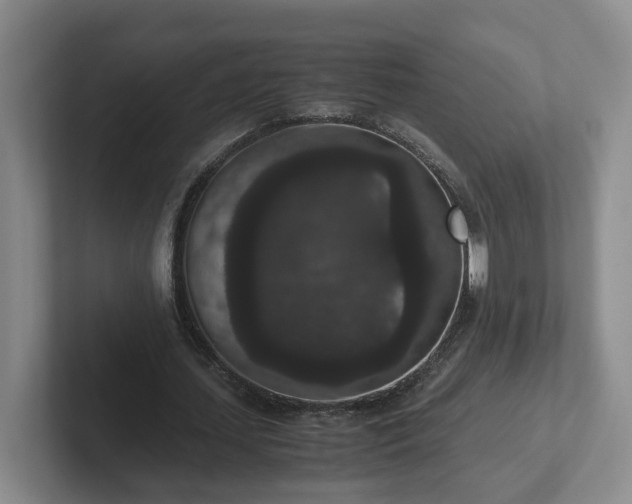 X0000102480627200808151450