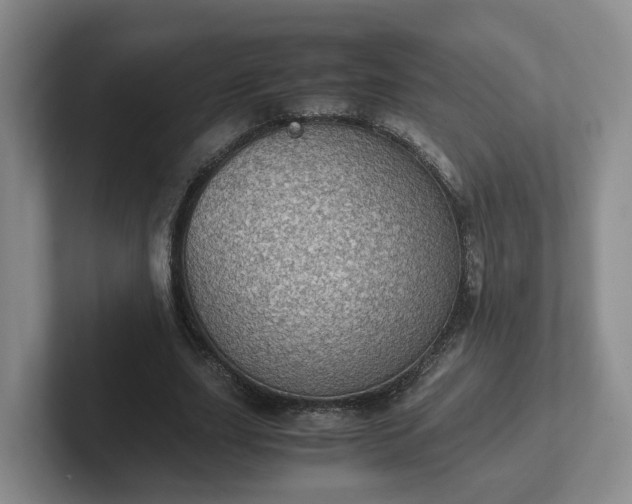 X0000102480631200808151451