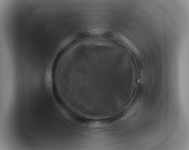 X0000102480634200808151451