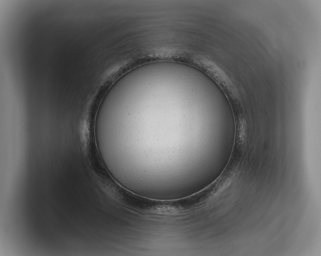 X0000102480636200808151451