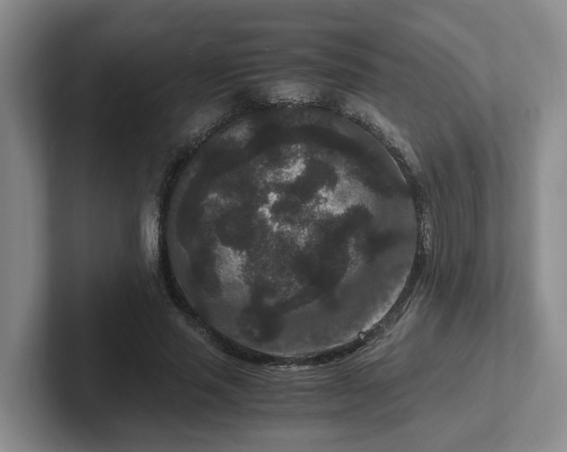 X0000102480637200808151451