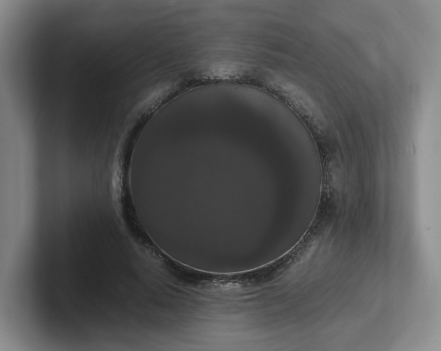 X0000102480640200808151451