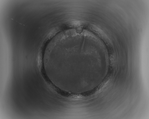 X0000102480642200808151451