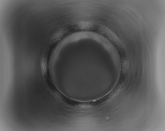 X0000102480644200808151451