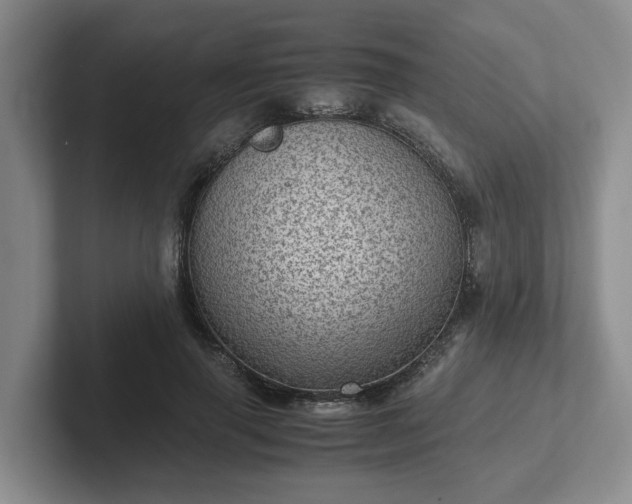 X0000102480645200808151451