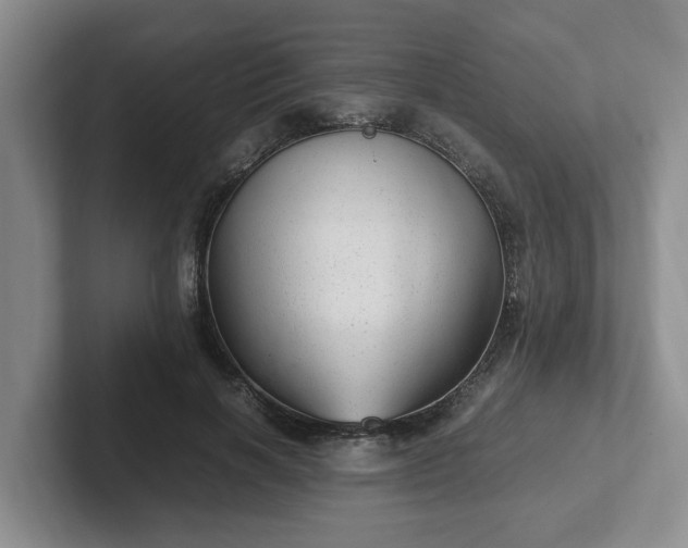 X0000102480646200808151451