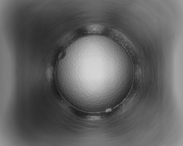 X0000102480649200808151451